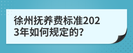 徐州抚养费标准2023年如何规定的？