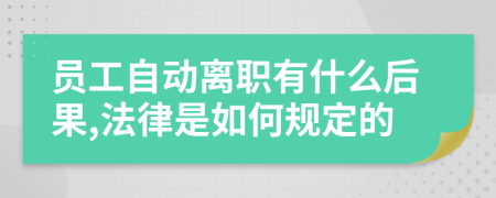 员工自动离职有什么后果,法律是如何规定的