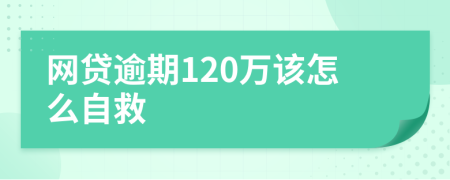 网贷逾期120万该怎么自救