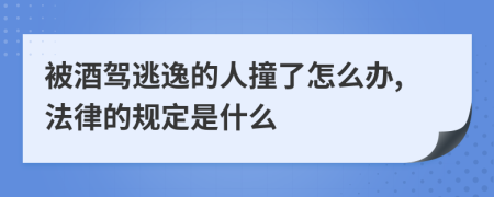 被酒驾逃逸的人撞了怎么办,法律的规定是什么