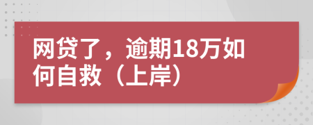 网贷了，逾期18万如何自救（上岸）