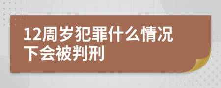 12周岁犯罪什么情况下会被判刑