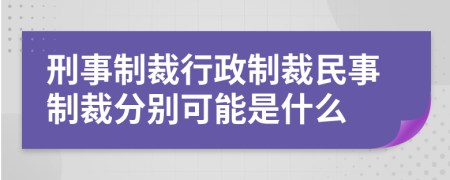 刑事制裁行政制裁民事制裁分别可能是什么