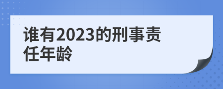 谁有2023的刑事责任年龄