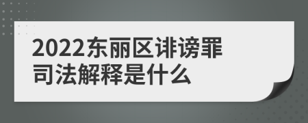 2022东丽区诽谤罪司法解释是什么