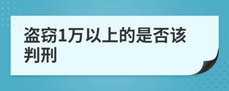 盗窃1万以上的是否该判刑