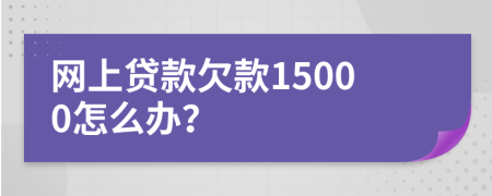 网上贷款欠款15000怎么办？