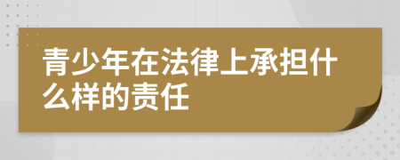 青少年在法律上承担什么样的责任