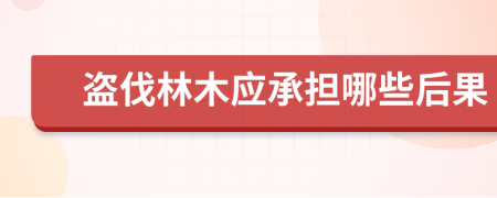 盗伐林木应承担哪些后果