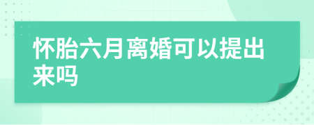 怀胎六月离婚可以提出来吗