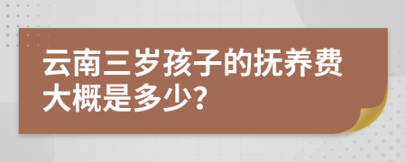 云南三岁孩子的抚养费大概是多少？