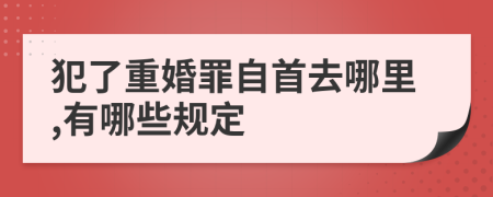 犯了重婚罪自首去哪里,有哪些规定