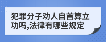 犯罪分子劝人自首算立功吗,法律有哪些规定