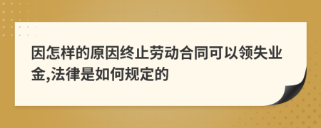 因怎样的原因终止劳动合同可以领失业金,法律是如何规定的