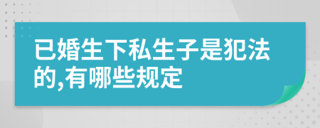 已婚生下私生子是犯法的,有哪些规定