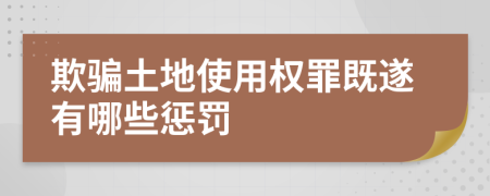 欺骗土地使用权罪既遂有哪些惩罚