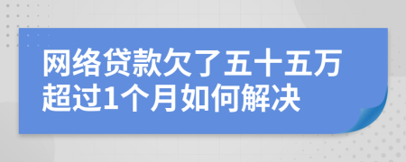 网络贷款欠了五十五万超过1个月如何解决