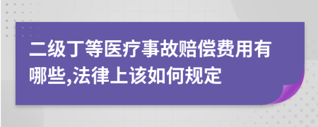 二级丁等医疗事故赔偿费用有哪些,法律上该如何规定