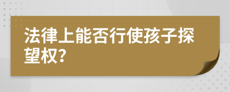 法律上能否行使孩子探望权？