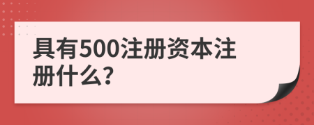 具有500注册资本注册什么？