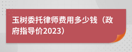 玉树委托律师费用多少钱（政府指导价2023）