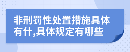 非刑罚性处置措施具体有什,具体规定有哪些