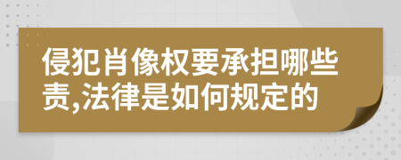 侵犯肖像权要承担哪些责,法律是如何规定的