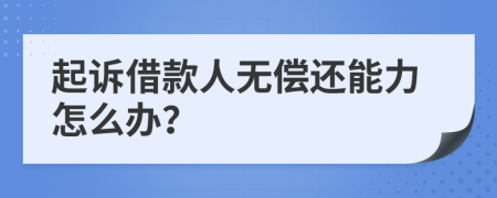 起诉借款人无偿还能力怎么办？