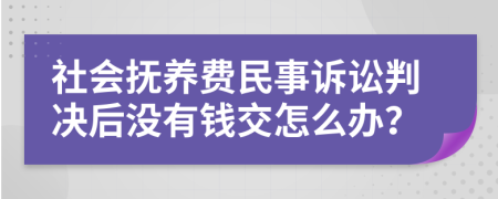社会抚养费民事诉讼判决后没有钱交怎么办？