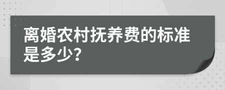 离婚农村抚养费的标准是多少？