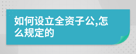 如何设立全资子公,怎么规定的