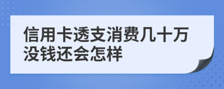 信用卡透支消费几十万没钱还会怎样