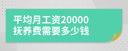平均月工资20000抚养费需要多少钱
