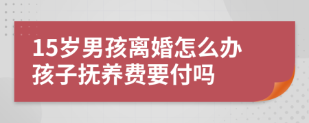 15岁男孩离婚怎么办孩子抚养费要付吗