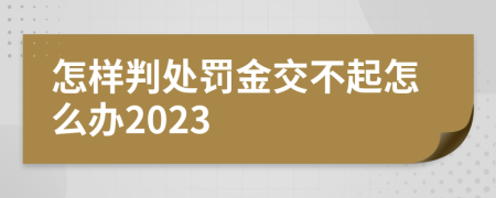 怎样判处罚金交不起怎么办2023