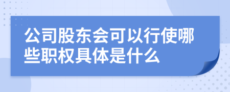 公司股东会可以行使哪些职权具体是什么