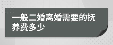 一般二婚离婚需要的抚养费多少