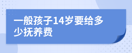 一般孩子14岁要给多少抚养费