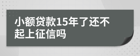 小额贷款15年了还不起上征信吗