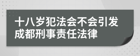 十八岁犯法会不会引发成都刑事责任法律