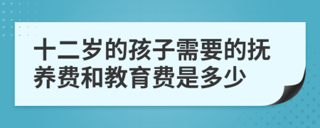 十二岁的孩子需要的抚养费和教育费是多少