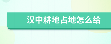 汉中耕地占地怎么给