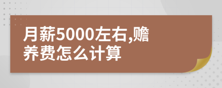 月薪5000左右,赡养费怎么计算