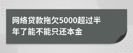 网络贷款拖欠5000超过半年了能不能只还本金