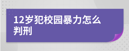 12岁犯校园暴力怎么判刑