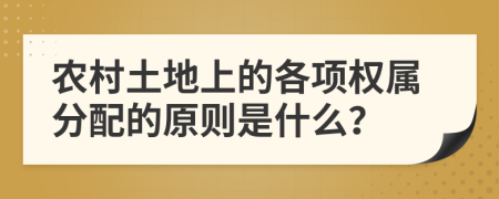 农村土地上的各项权属分配的原则是什么？