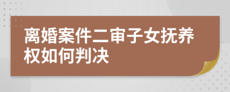 离婚案件二审子女抚养权如何判决