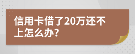 信用卡借了20万还不上怎么办？