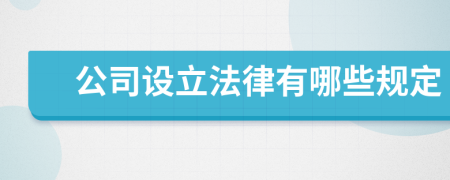 公司设立法律有哪些规定