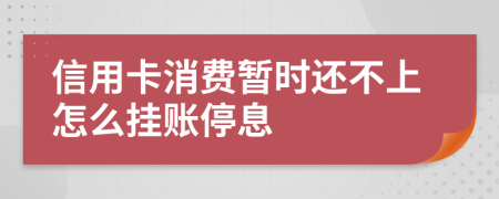 信用卡消费暂时还不上怎么挂账停息